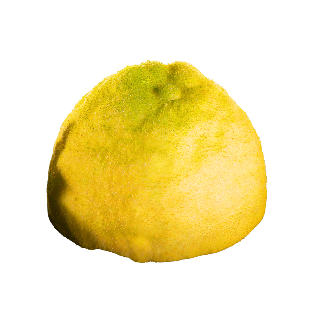 Hand Crafted Lemon Sorbet